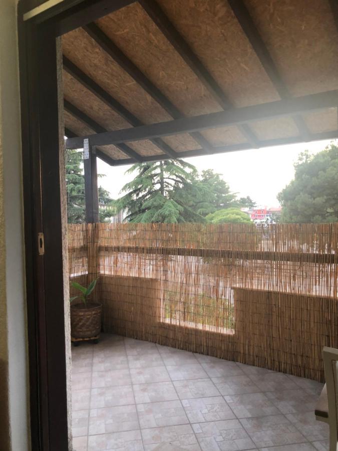 Apartment Novigrad Centre Eksteriør bilde