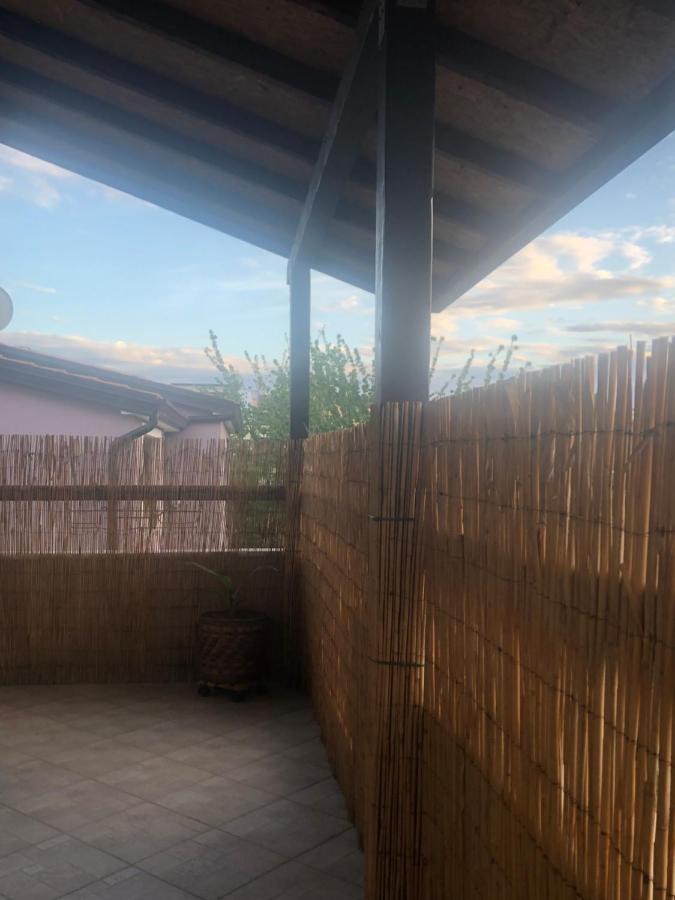 Apartment Novigrad Centre Eksteriør bilde