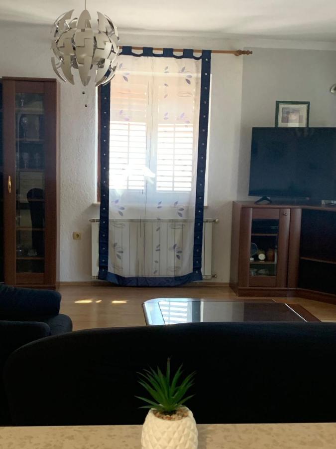 Apartment Novigrad Centre Eksteriør bilde